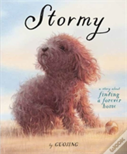 Capa do artigo Stormy