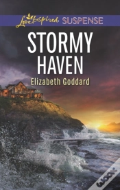 Capa do artigo Stormy Haven
