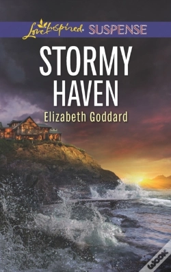 Capa do artigo Stormy Haven