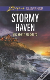 Capa do artigo Stormy Haven