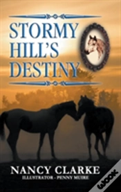 Capa do artigo Stormy Hill