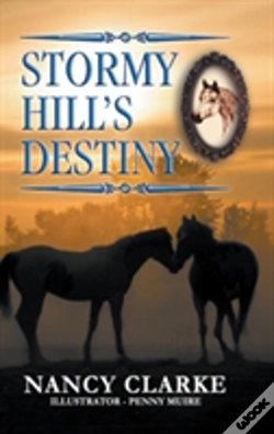 Capa do artigo Stormy Hill'S Destiny