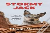 Stormy Jack