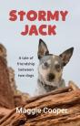 Stormy Jack - Preview