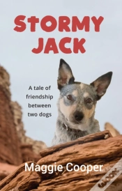 Capa do artigo Stormy Jack