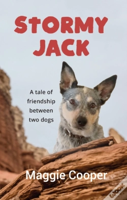 Capa do artigo Stormy Jack