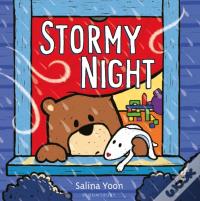 Stormy Night