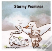 Capa do artigo Stormy Promises