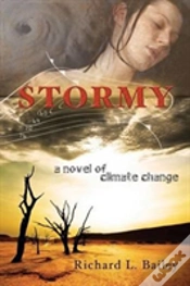 Capa do artigo Stormy