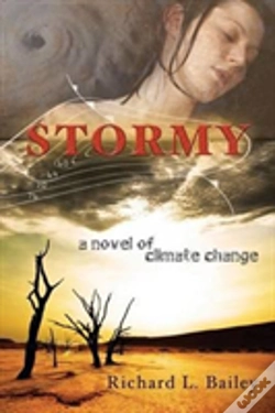 Capa do artigo Stormy