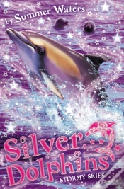 Capa do artigo Stormy Skies