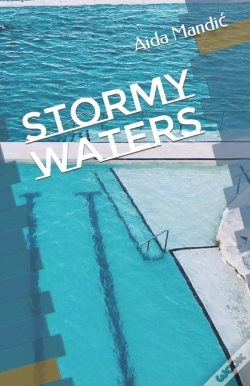 Capa do artigo Stormy Waters
