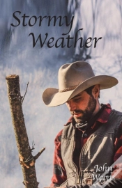 Capa do artigo Stormy Weather