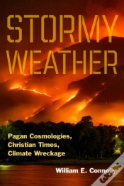 Capa do artigo Stormy Weather