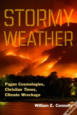 Capa do artigo Stormy Weather