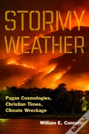Capa do artigo Stormy Weather