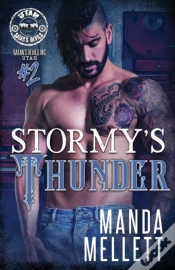 Capa do artigo Stormy
