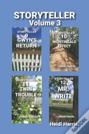 Capa do artigo Storyteller Volume 3