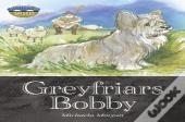 Storyworlds Bridges Stage 12 Greyfriars Bobby (Single)