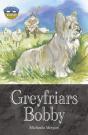 Storyworlds Bridges Stage 12 Greyfriars Bobby (Single) - Preview