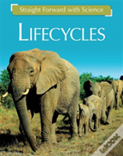 Straight Forward With Science: Life Cycles