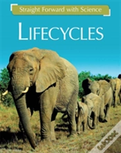 Capa do artigo Straight Forward With Science: Life Cycles