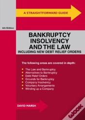 Capa do artigo Straightforward Guide To Bankruptcy, Insolvency And The Law