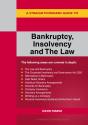 Straightforward Guide To Bankruptcy Insolvency And The Law - Preview