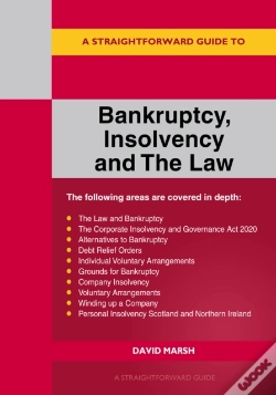 Capa do artigo Straightforward Guide To Bankruptcy Insolvency And The Law