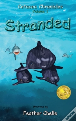Capa do artigo Stranded