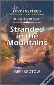 Capa do artigo Stranded In The Mountains