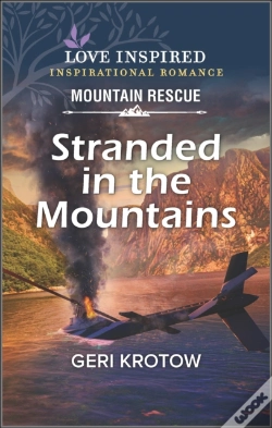 Capa do artigo Stranded In The Mountains