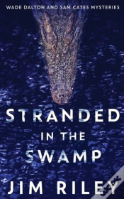 Capa do artigo Stranded In The Swamp
