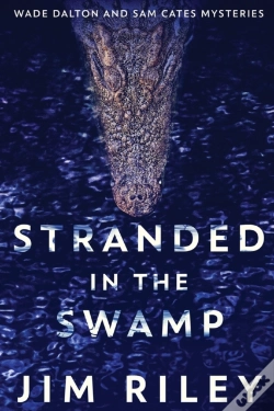 Capa do artigo Stranded In The Swamp