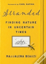 Capa do artigo Stranded