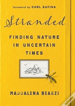 Capa do artigo Stranded