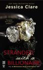 Stranded With A Billionaire - Preview