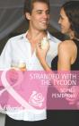 Stranded With The Tycoon - Preview
