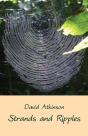 Strands And Ripples - Preview