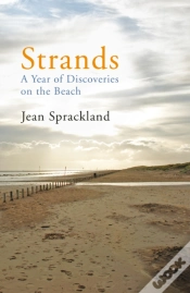 Capa do artigo Strands