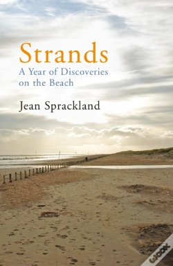 Capa do artigo Strands
