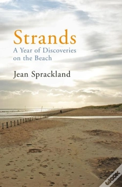 Capa do artigo Strands