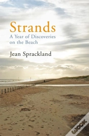 Capa do artigo Strands