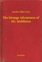 Strange Adventures Of Mr. Middleton - Preview