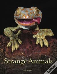 Strange Animals