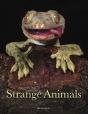 Strange Animals - Preview