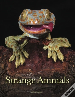 Capa do artigo Strange Animals