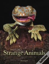 Capa do artigo Strange Animals
