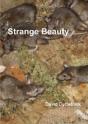 Strange Beauty - Preview