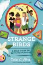 Strange Birds - Preview